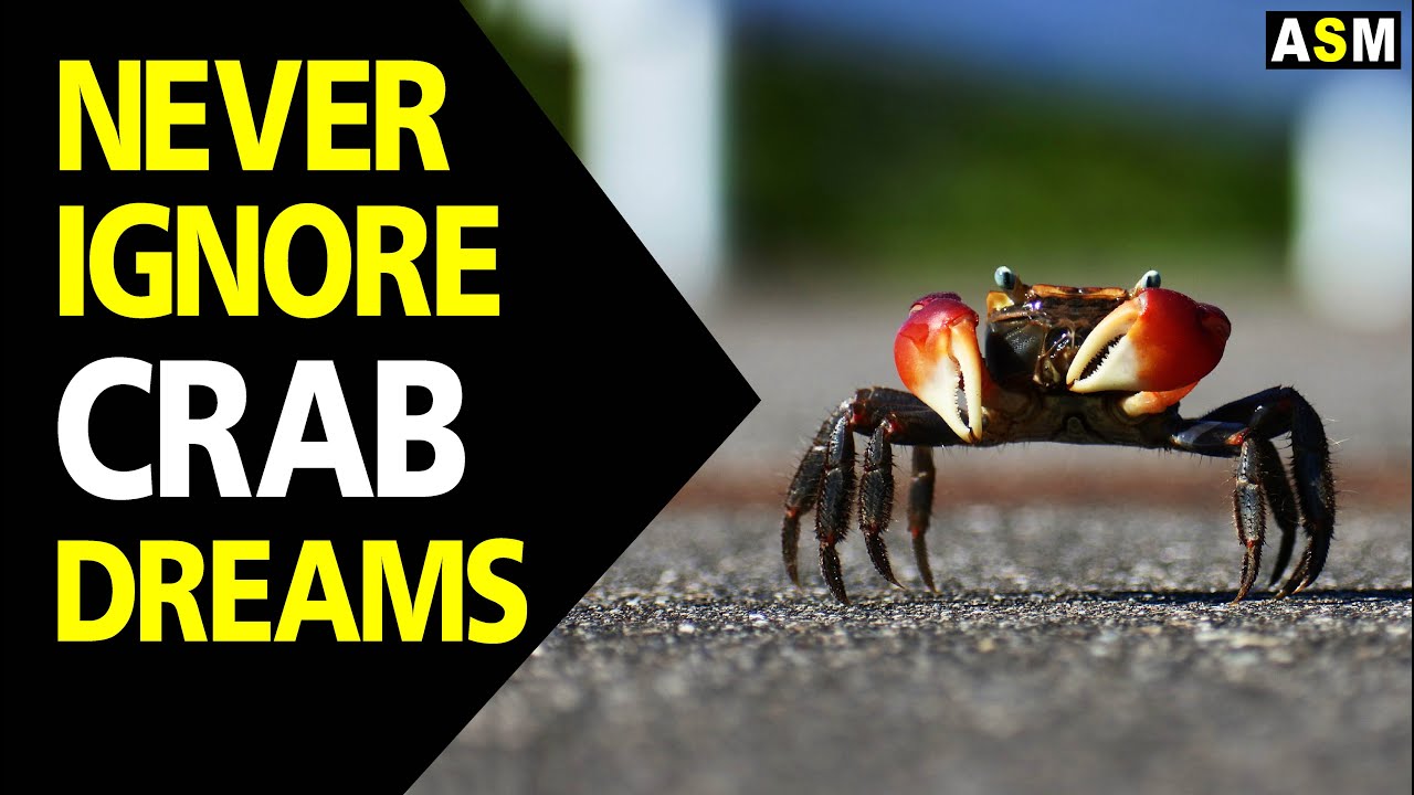 Crab dream interpretation secrets: find out what crab dreams mean for you today.