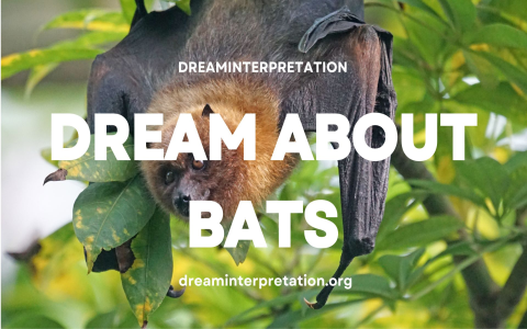Flying Bats in Dreams Meaning? Tips You Can Try