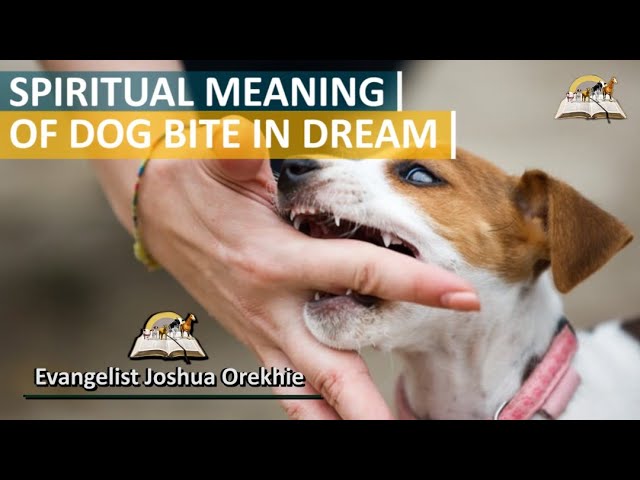 Dog Bite Dream Meaning Scary? Easy Steps to Understand It Now