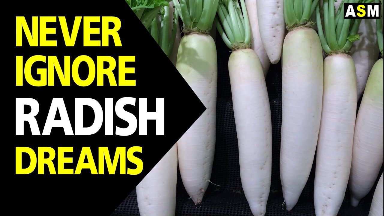 The meaning of dreaming about white radishes